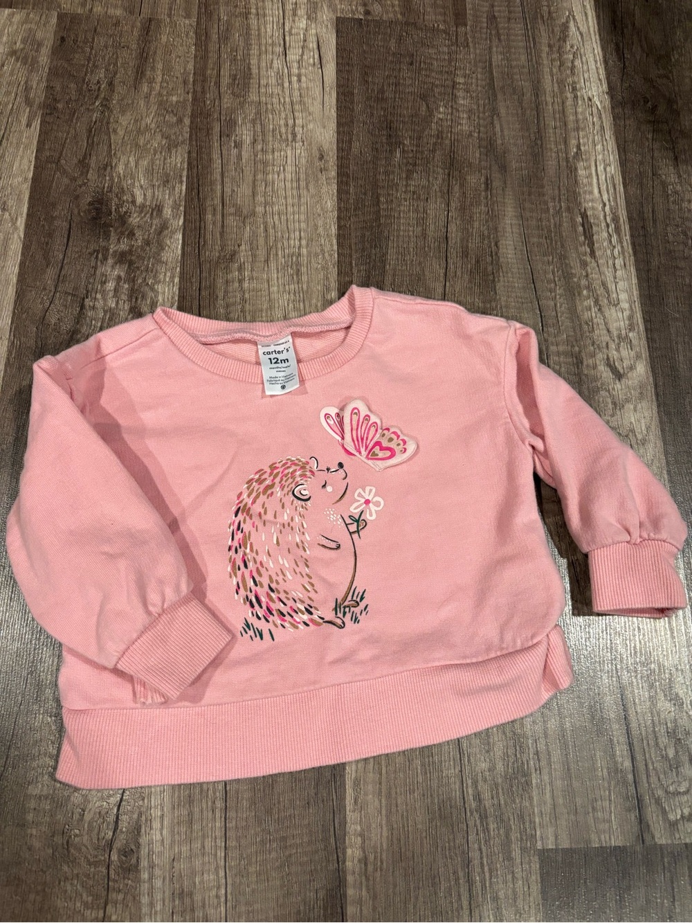 Carter's Pink Hedgehog & Butterfly Long-Sleeve Sweatshirt